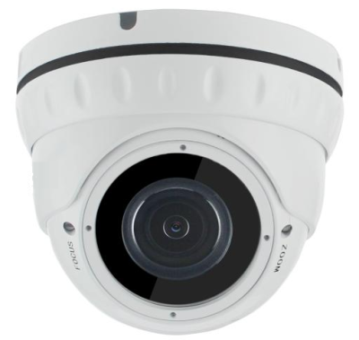 Камера видеонаблюдения AltCam AltCam IDMV52IR